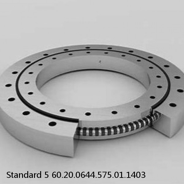 60.20.0644.575.01.1403 Standard 5 Slewing Ring Bearings