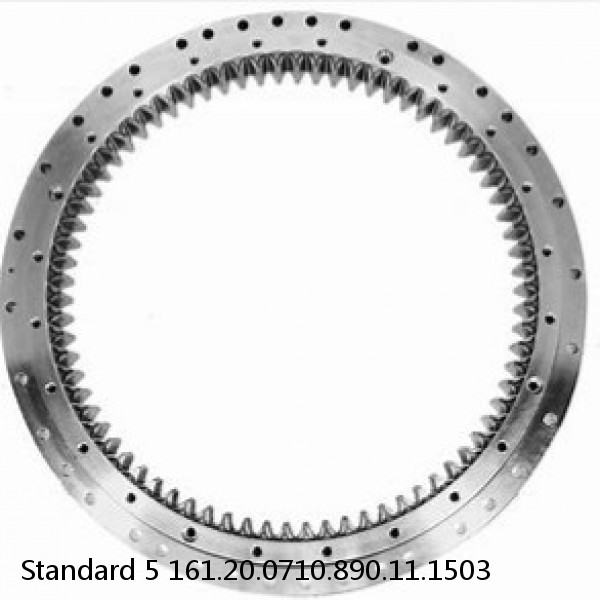 161.20.0710.890.11.1503 Standard 5 Slewing Ring Bearings