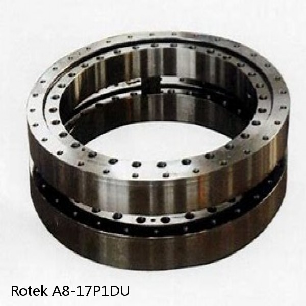 A8-17P1DU Rotek Slewing Ring Bearings #1 small image