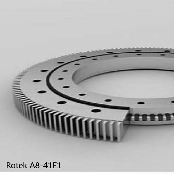 A8-41E1 Rotek Slewing Ring Bearings #1 small image