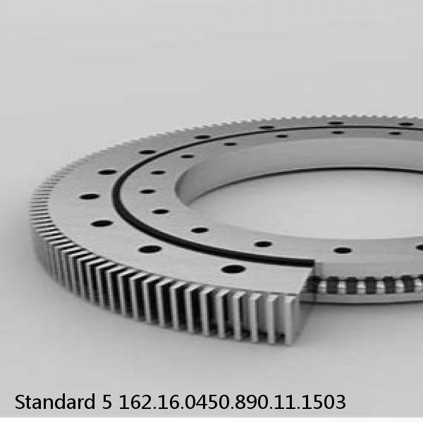 162.16.0450.890.11.1503 Standard 5 Slewing Ring Bearings #1 small image