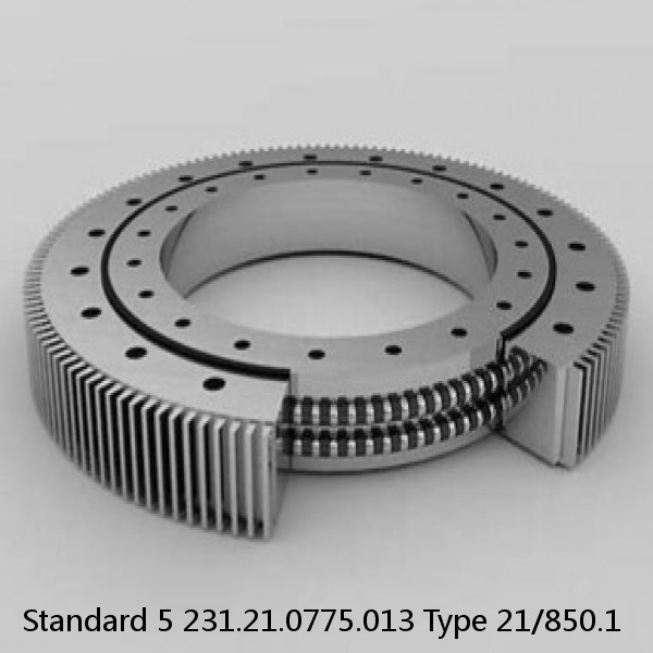 231.21.0775.013 Type 21/850.1 Standard 5 Slewing Ring Bearings #1 small image