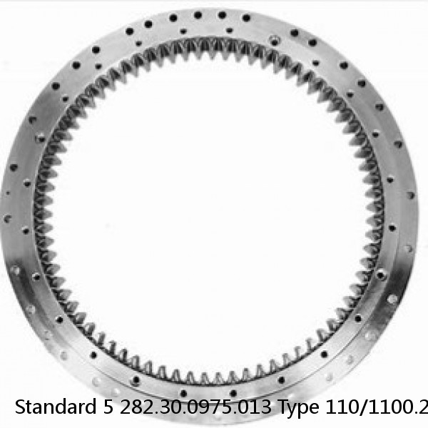 282.30.0975.013 Type 110/1100.2 Standard 5 Slewing Ring Bearings #1 small image