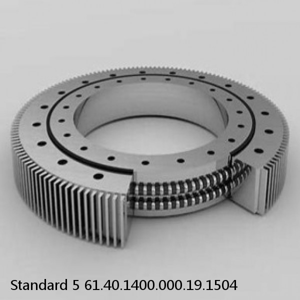 61.40.1400.000.19.1504 Standard 5 Slewing Ring Bearings #1 small image