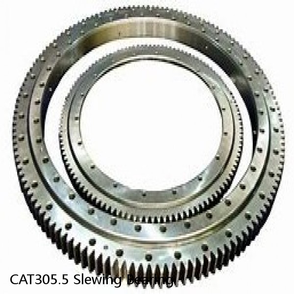 CAT305.5 Slewing Bearing #1 small image
