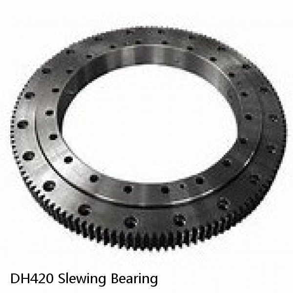 DH420 Slewing Bearing #1 small image
