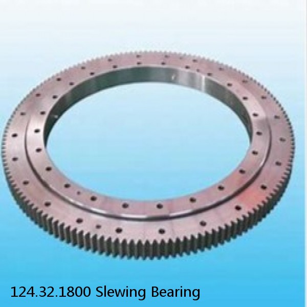 124.32.1800 Slewing Bearing #1 small image