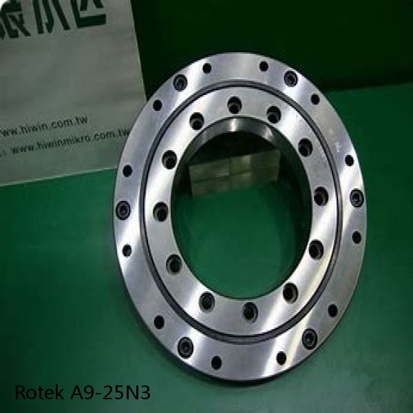 A9-25N3 Rotek Slewing Ring Bearings #1 image