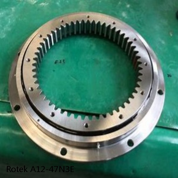 A12-47N3E Rotek Slewing Ring Bearings #1 image