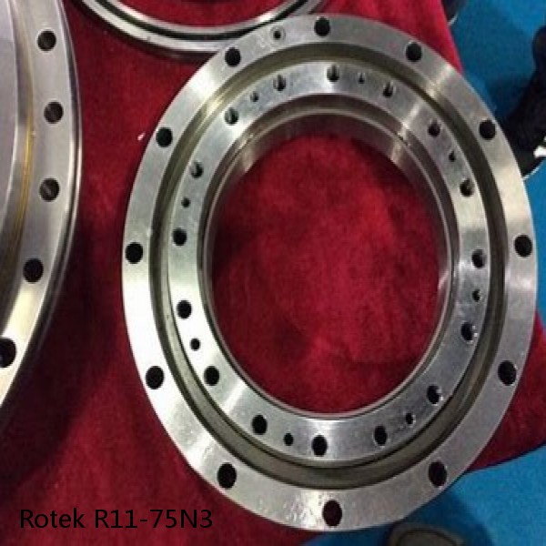 R11-75N3 Rotek Slewing Ring Bearings #1 image