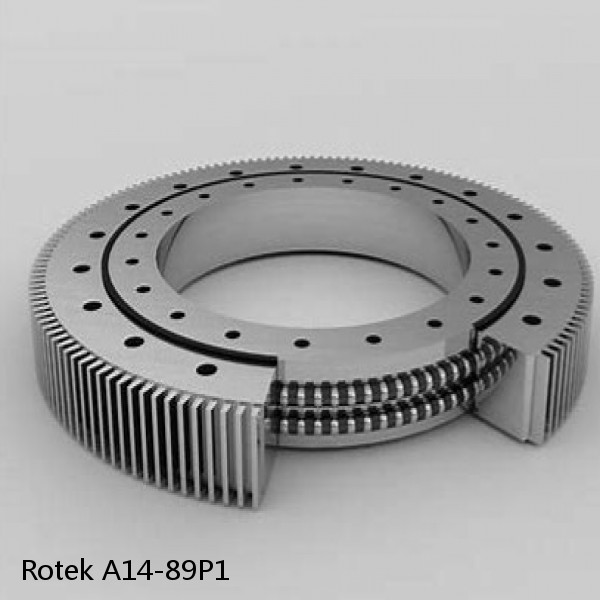 A14-89P1 Rotek Slewing Ring Bearings #1 image
