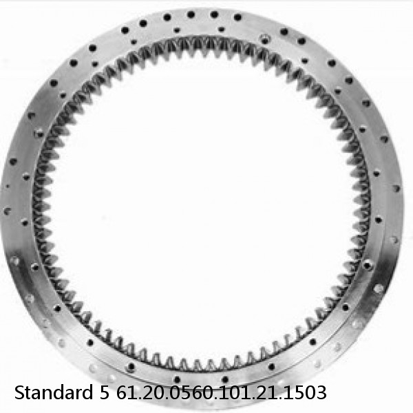 61.20.0560.101.21.1503 Standard 5 Slewing Ring Bearings #1 image