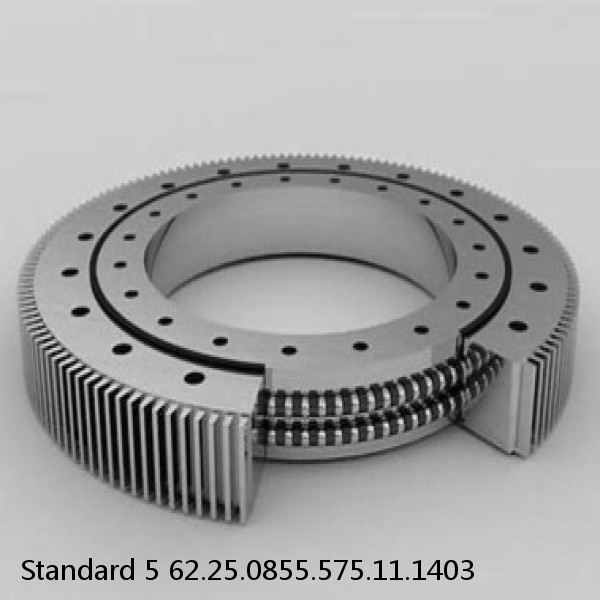 62.25.0855.575.11.1403 Standard 5 Slewing Ring Bearings #1 image