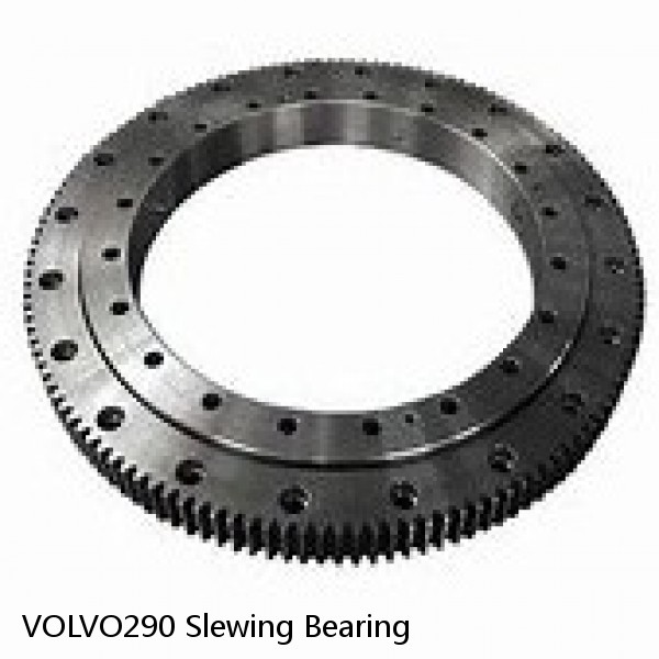 VOLVO290 Slewing Bearing #1 image