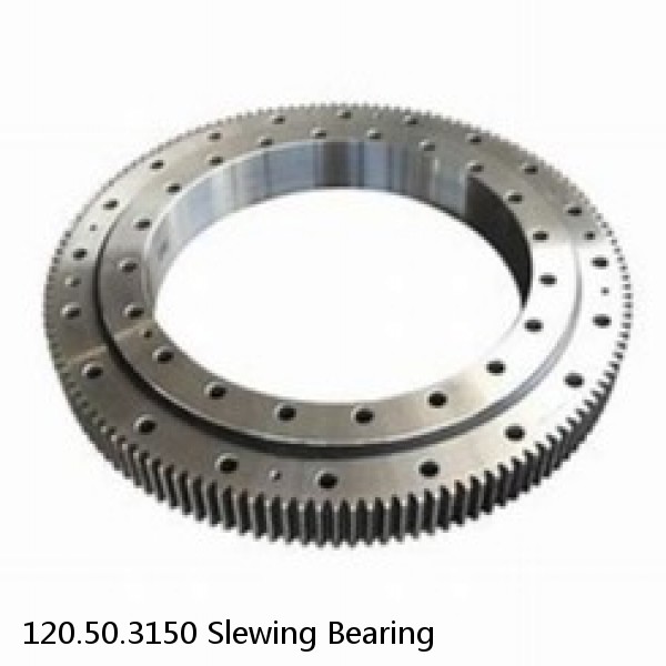 120.50.3150 Slewing Bearing #1 image