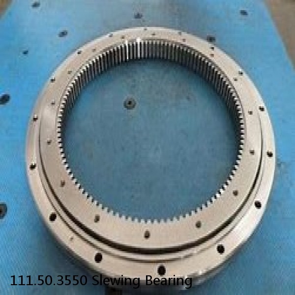 111.50.3550 Slewing Bearing #1 image