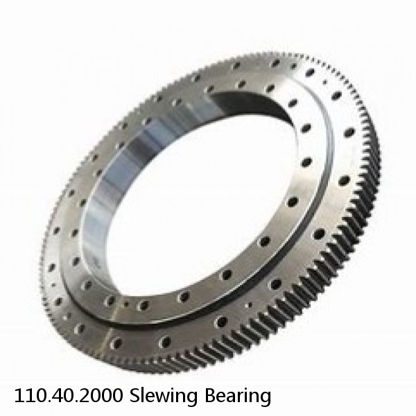 110.40.2000 Slewing Bearing #1 image